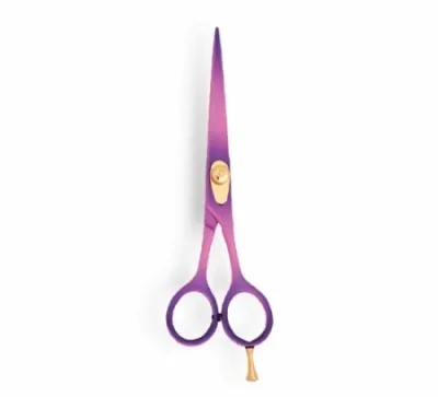 Professional Hair Cutting Scissor
